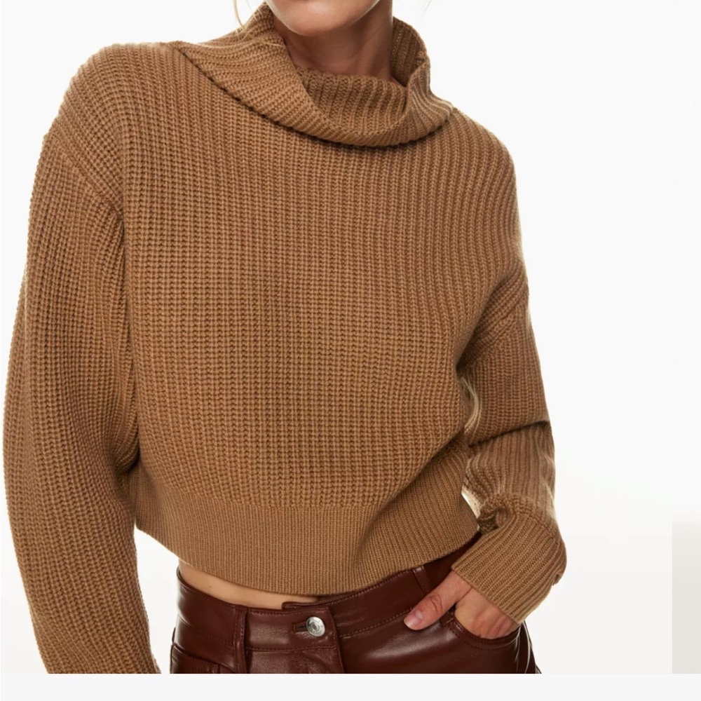 Aritzia Wilfred Montpellier Waist Turtleneck